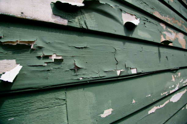Best Dumpster Rental Services  in Waialua, HI